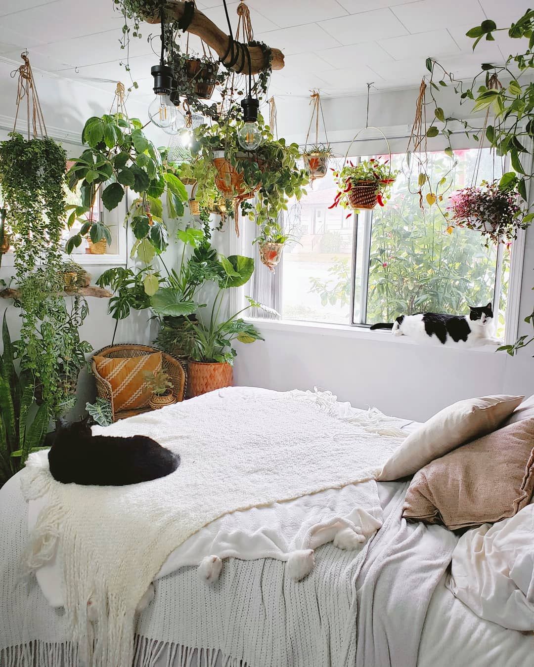 3 Bedroom Plants That Will Drastically Improve Your Health